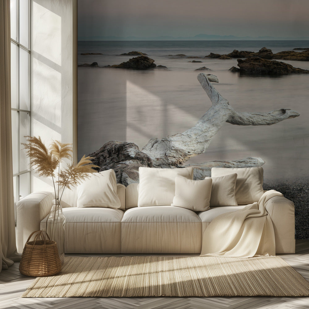 Puukalan ruho | Valokuvatapetit