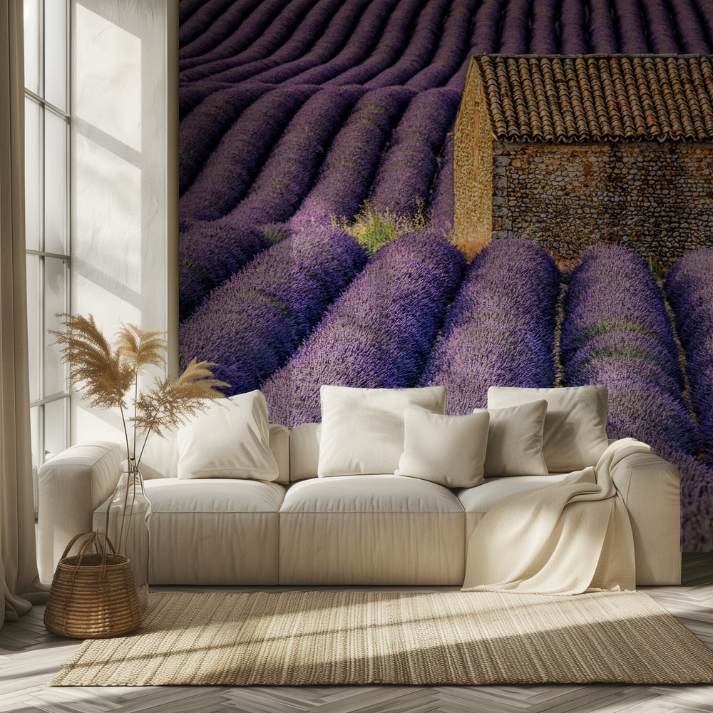 La choza Papel Pintado Fotográfico