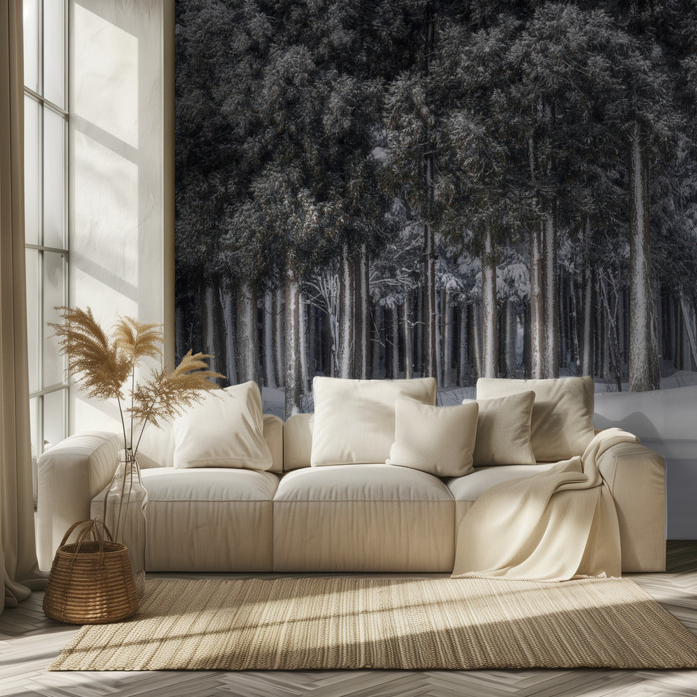 Un posto in un mondo d'argento | Carta da Parati Fotografica