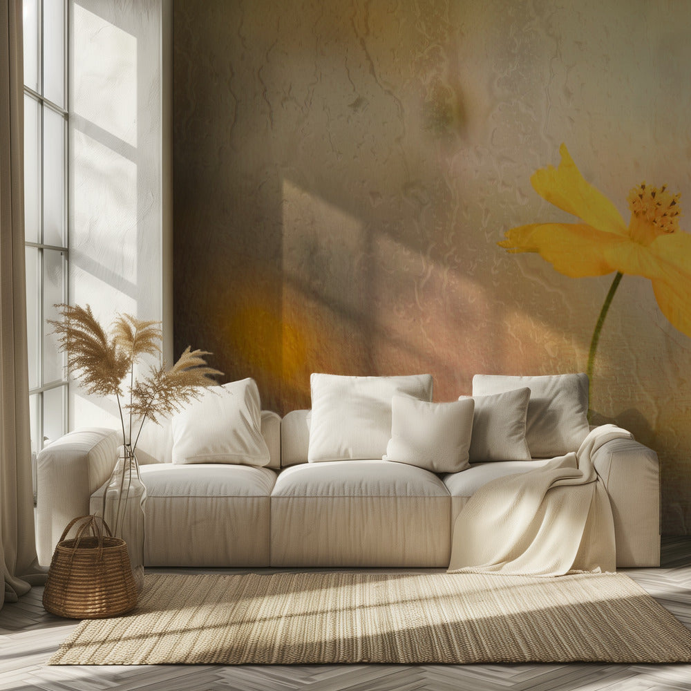 kosmos sateessa | Valokuvatapetit