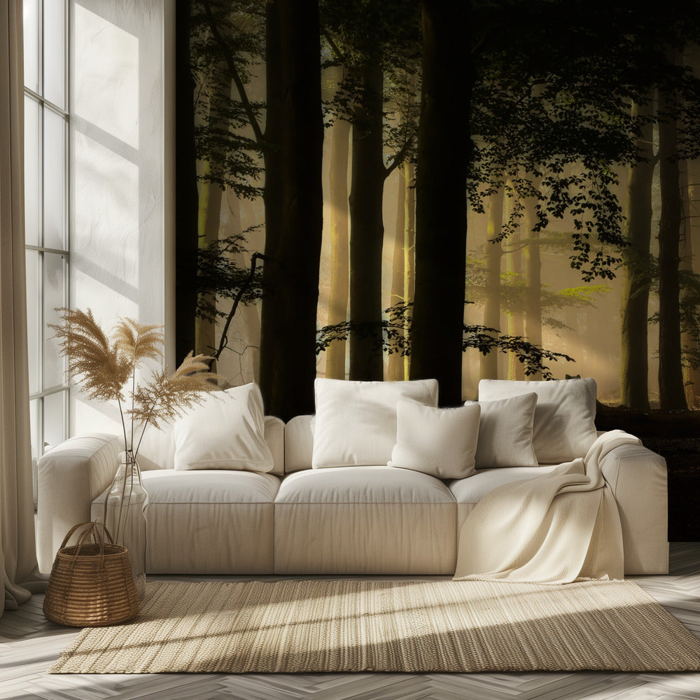 retroilluminazione | Carta da Parati Fotografica