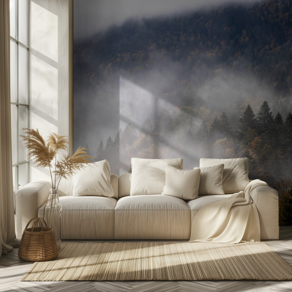 Sumuinen Metsä 9 | Valokuvatapetit