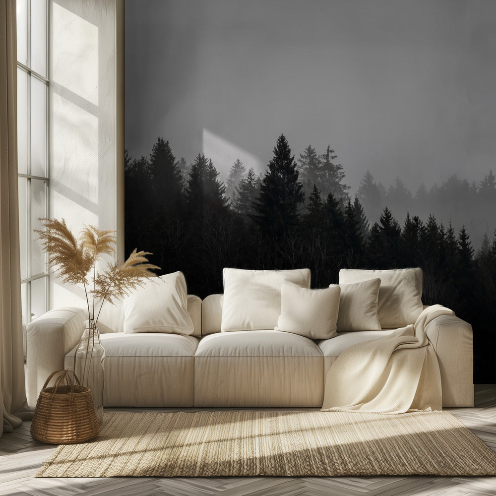 Foggy Woods 7 | Wallpaper