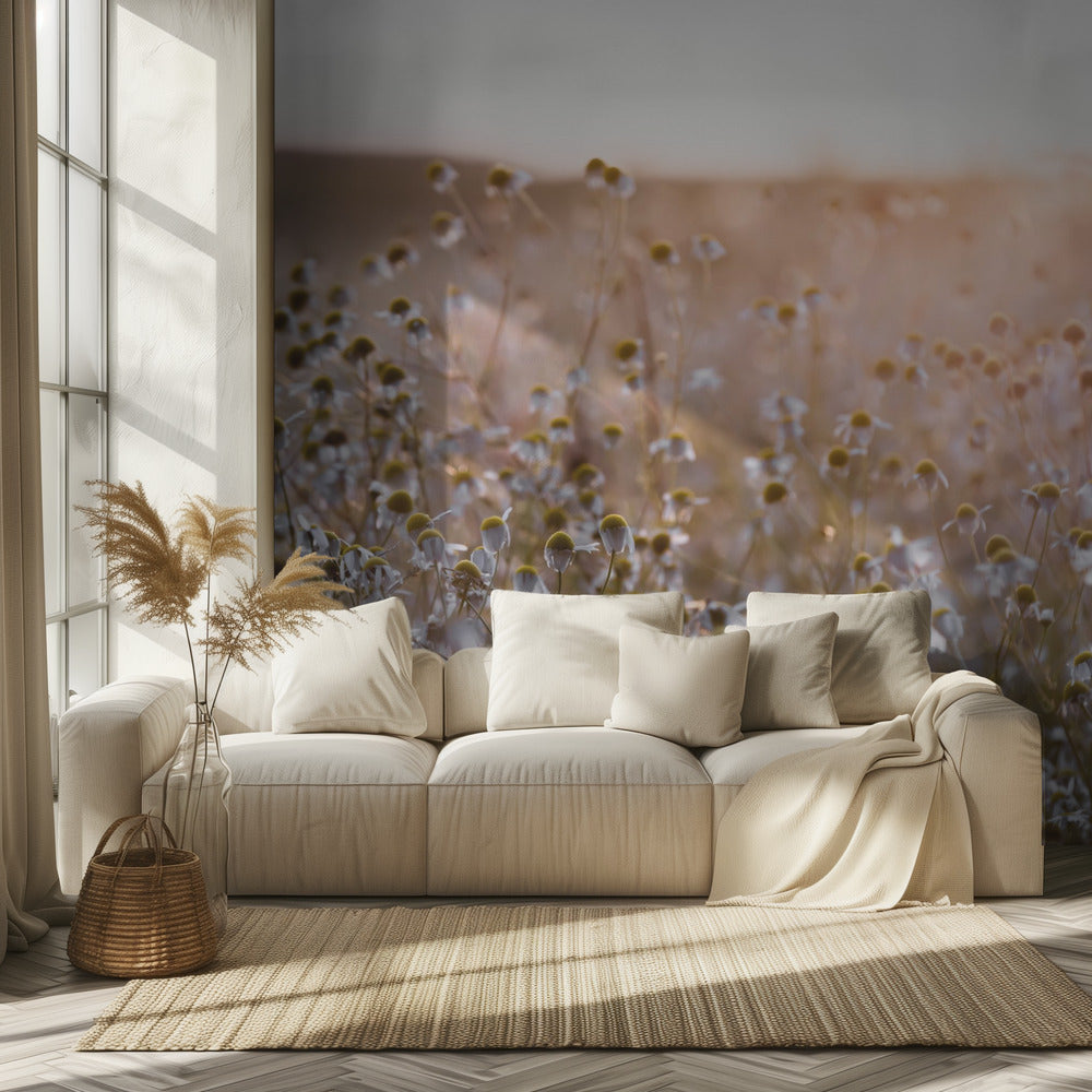 Mattina d'estate 7 | Carta da Parati Fotografica