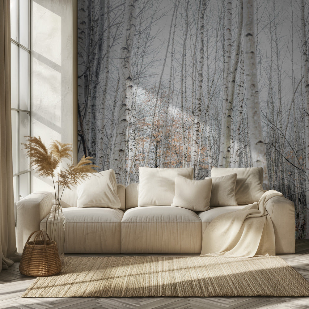 Birch Trees 9 | Wallpaper