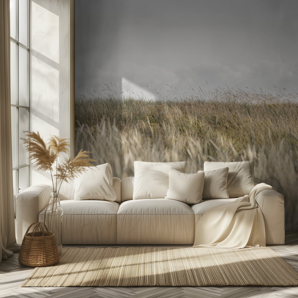 Dyynit ja pilvet 2 | Valokuvatapetit