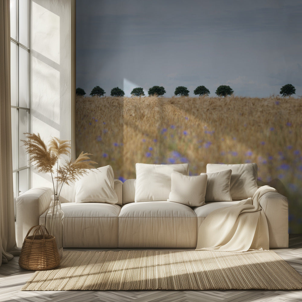 Pohjoismaisia hetkiä 4 | Valokuvatapetit