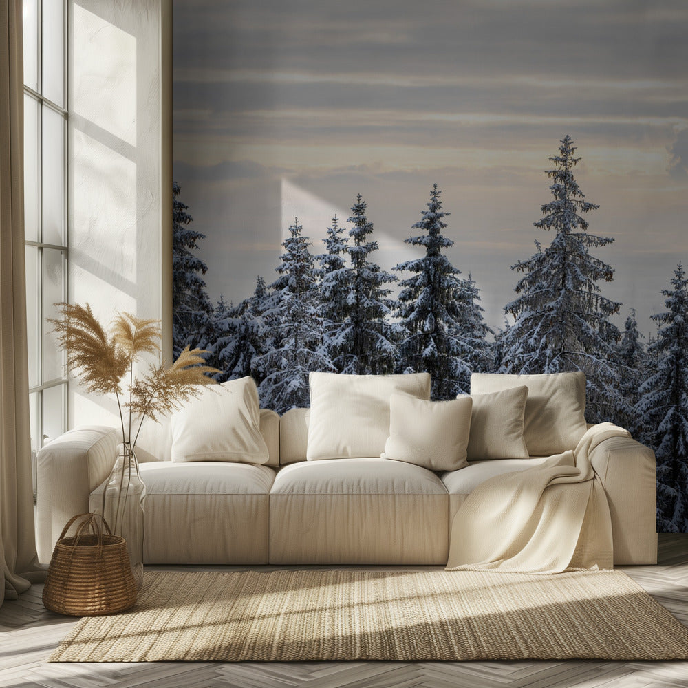 Lumen peittämät puut 8 | Valokuvatapetit