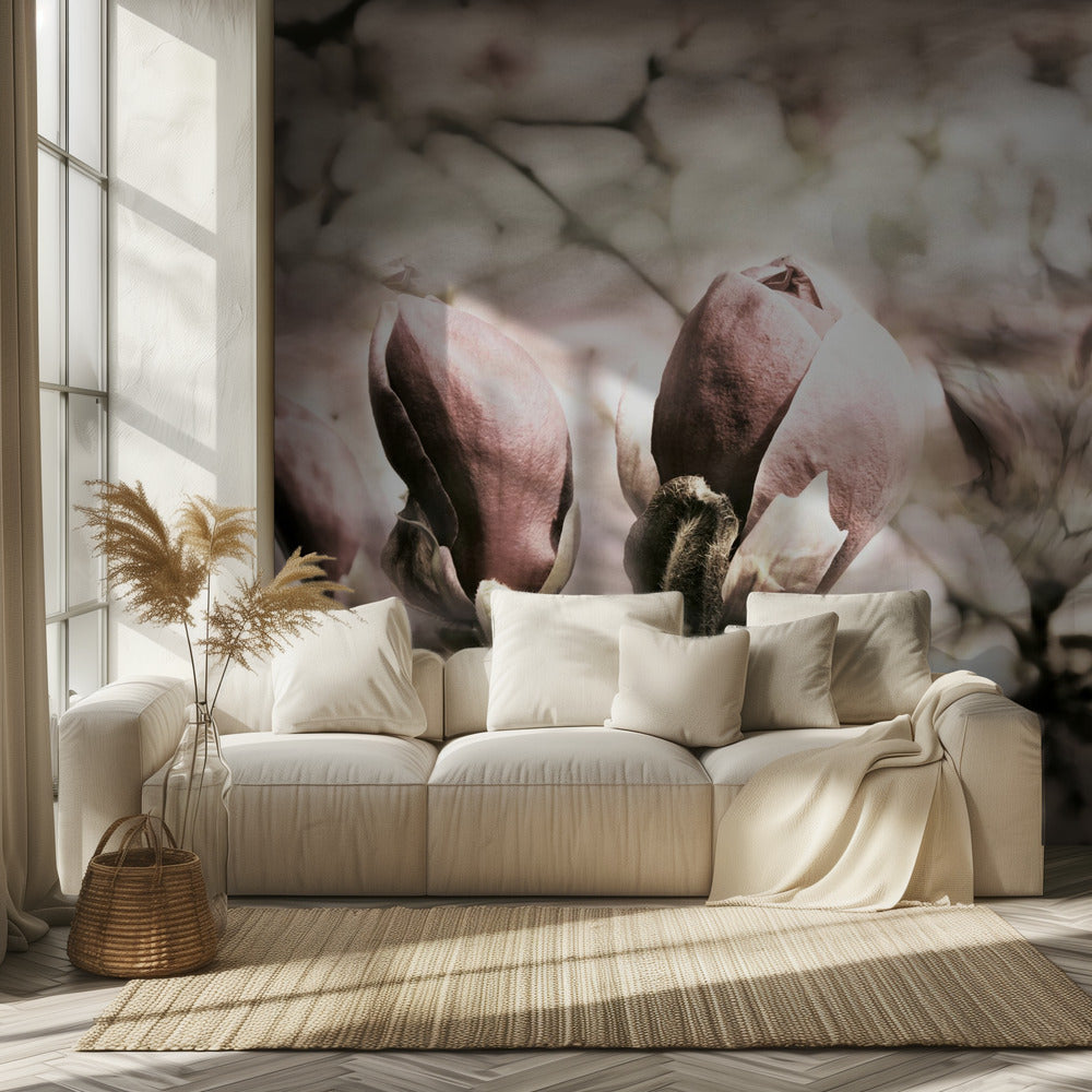 Magnolia spring | Wallpaper