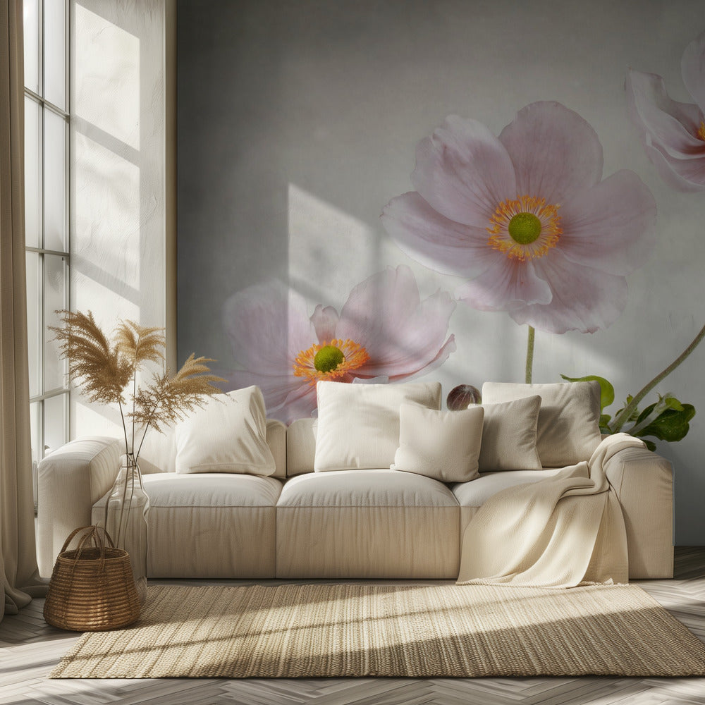 Anémonas | Papel Pintado Fotográfico
