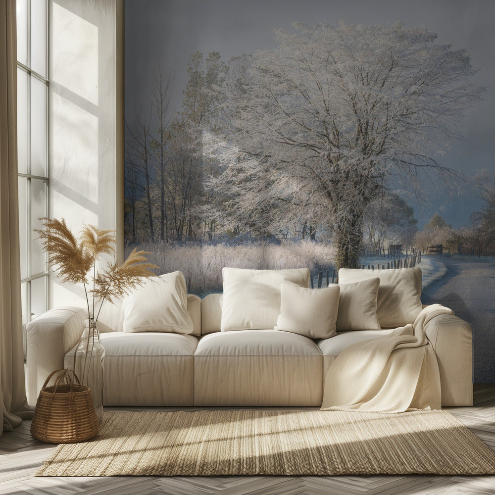 Pakkasinen aamu | Valokuvatapetit