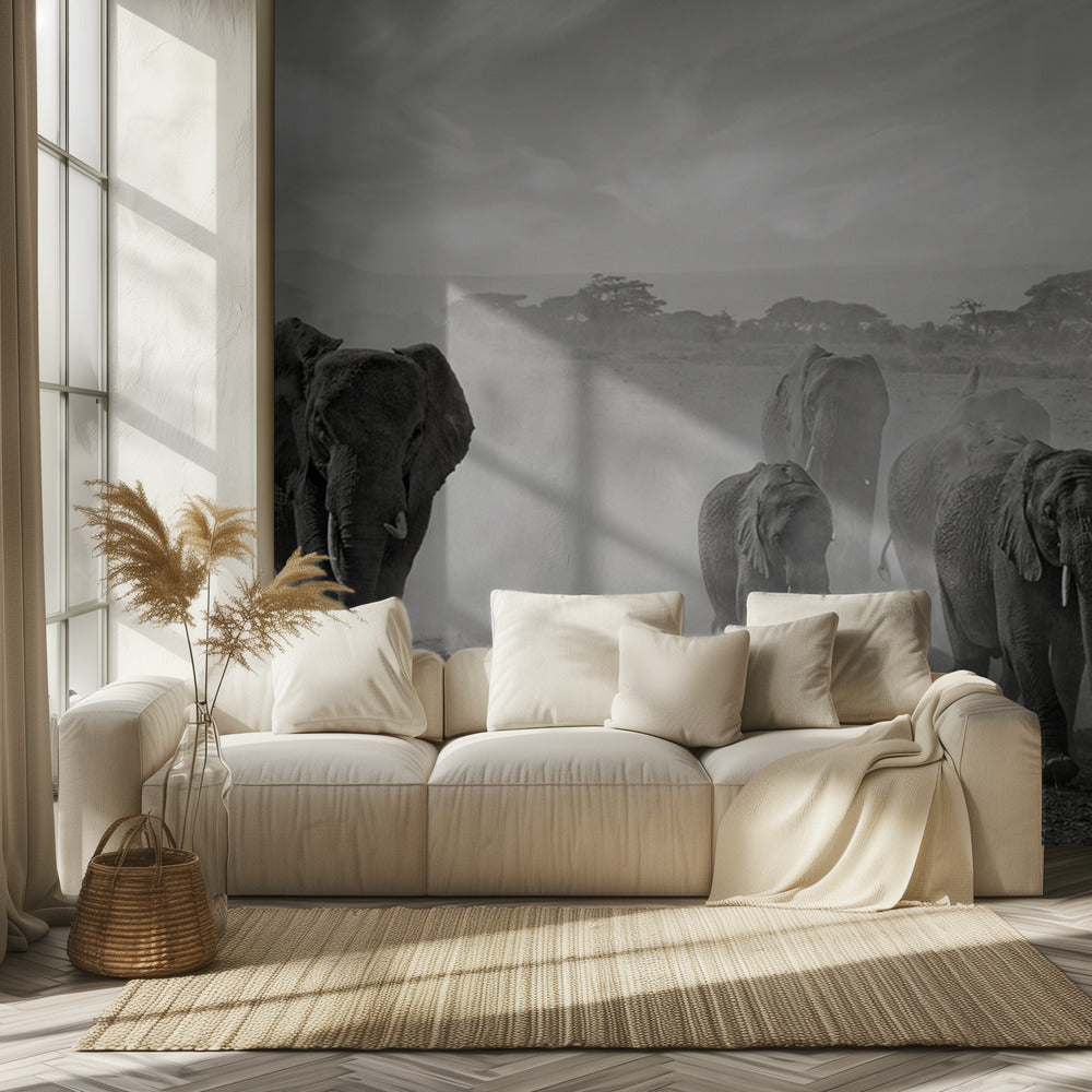 Tunnejärjestys | Valokuvatapetit