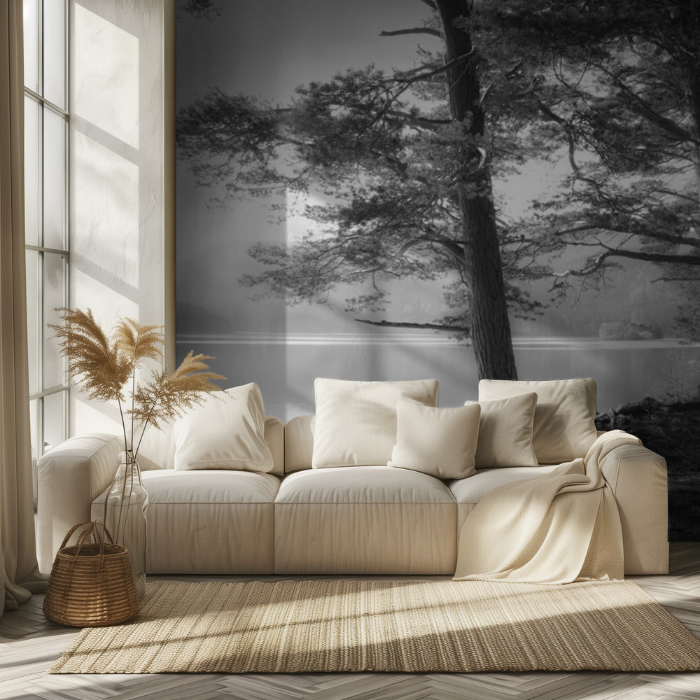 Loch an Eilean | Fototapeten