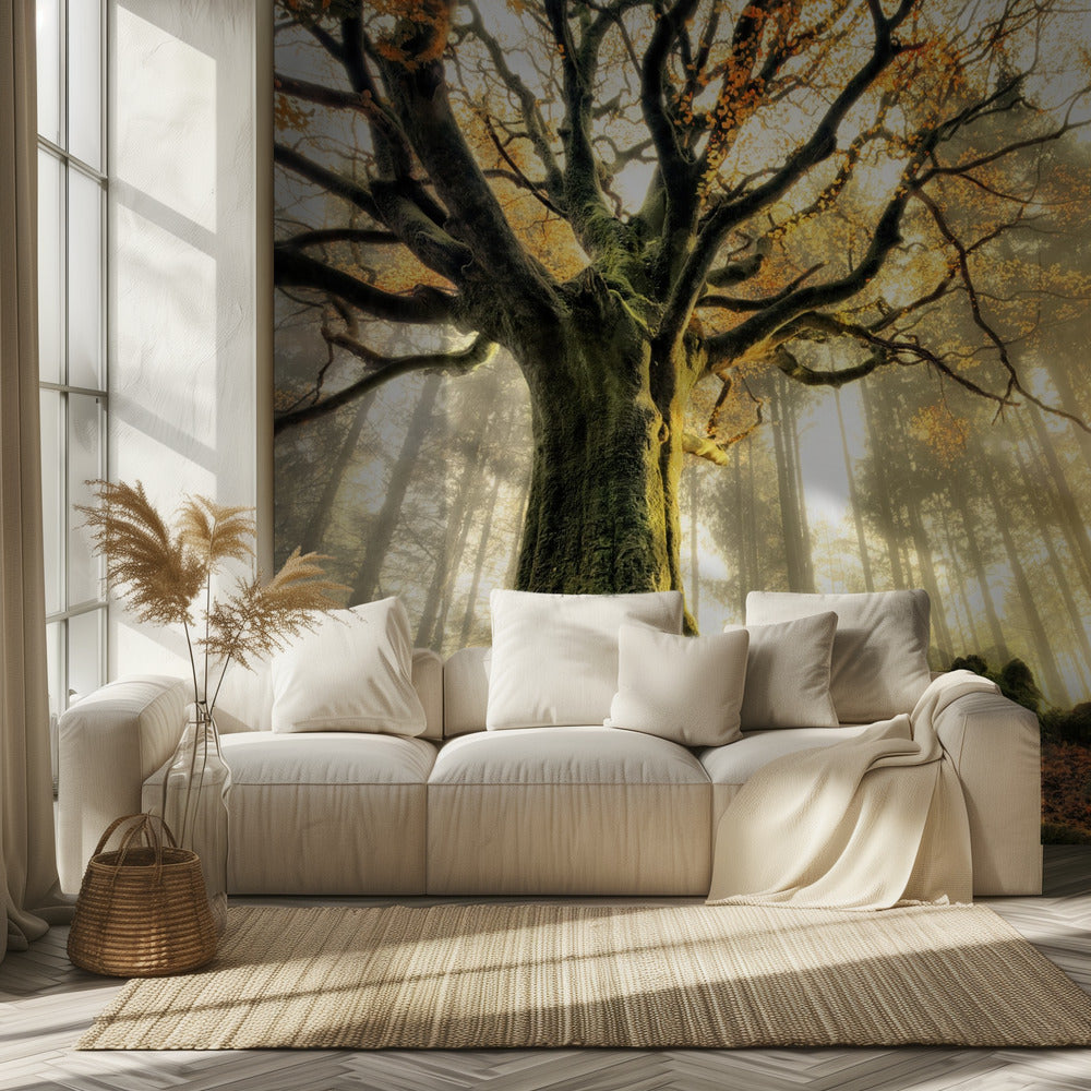 November | Fototapeten