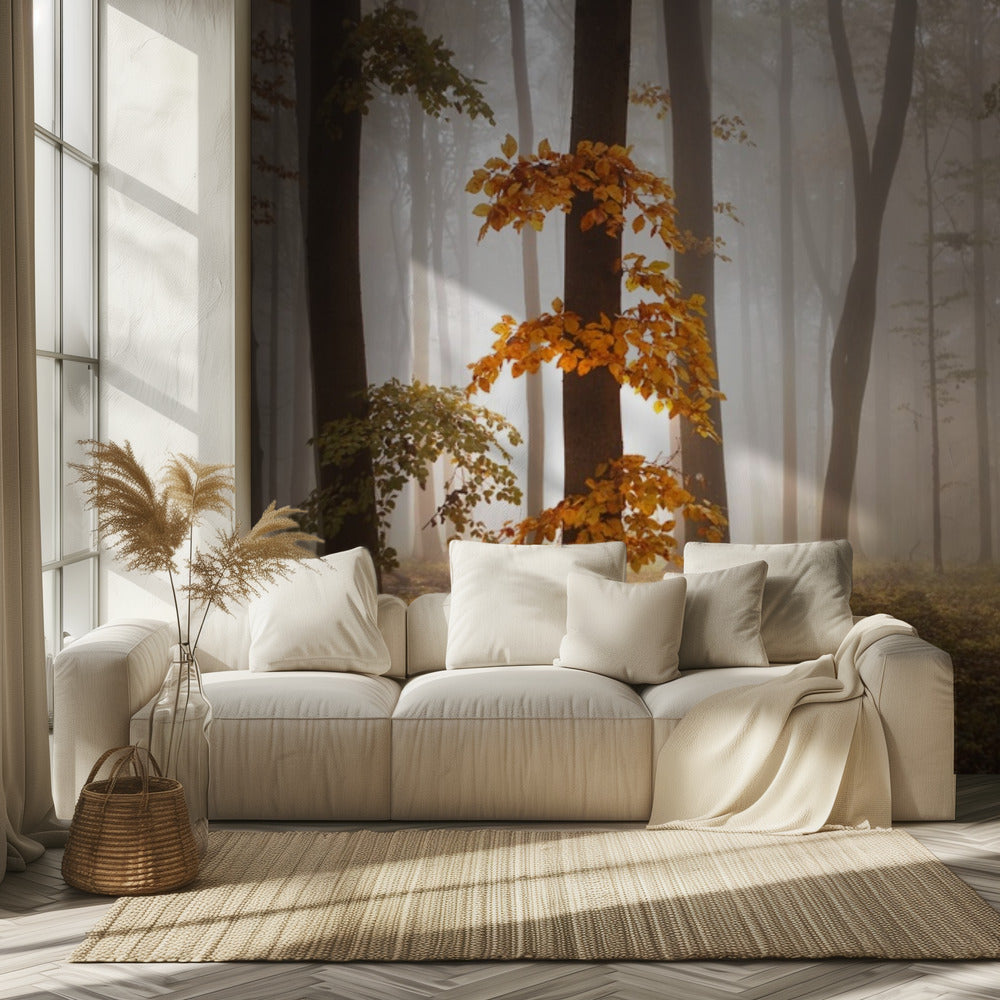 Nella luce di novembre | Carta da Parati Fotografica