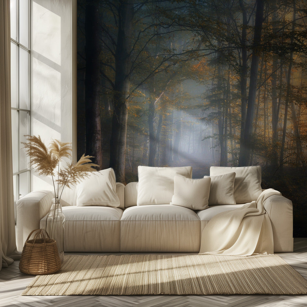 sinfonia autunnale | Carta da Parati Fotografica