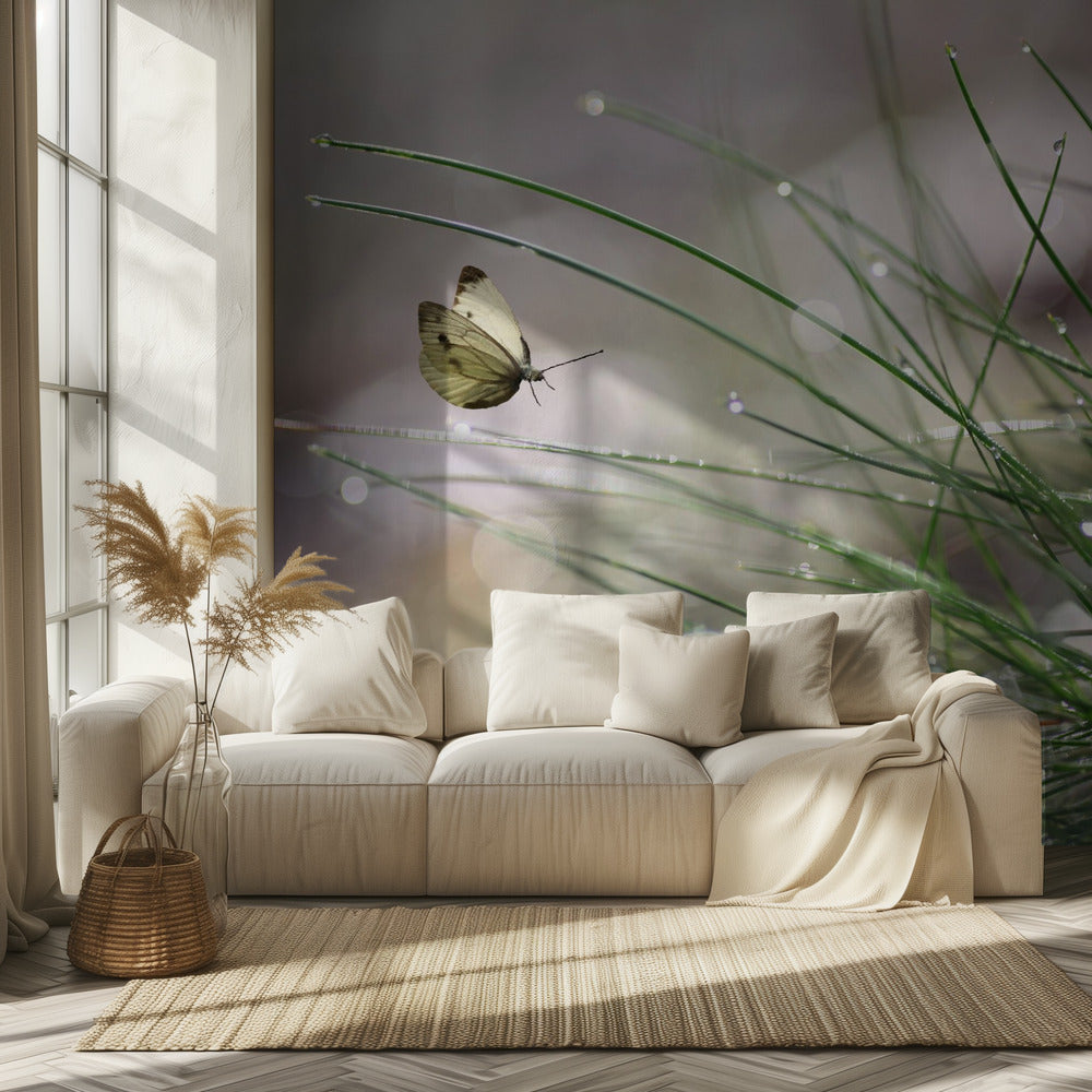 Välitön laskeutuminen | Valokuvatapetit