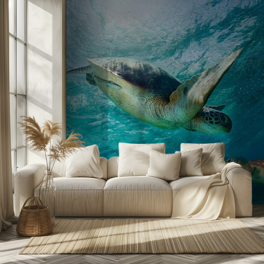 Kontakt | Fototapeten