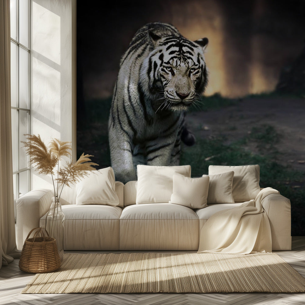 Valkoinen kävelijä | Valokuvatapetit