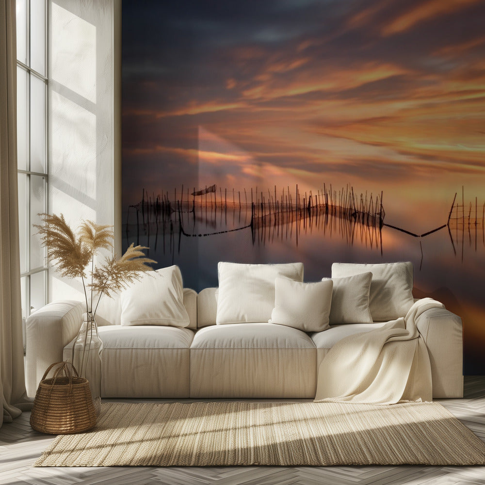 Kalaverkot | Valokuvatapetit