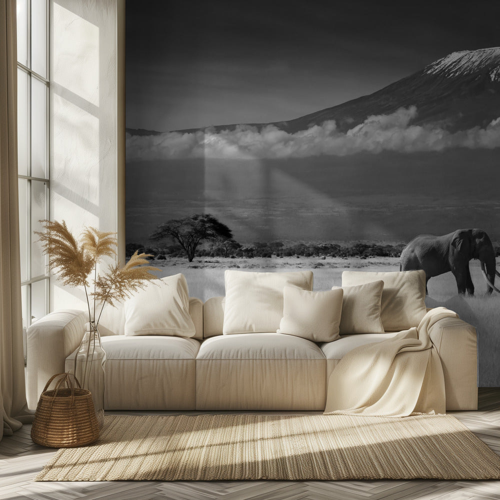 Kadonneet värit II | Valokuvatapetit