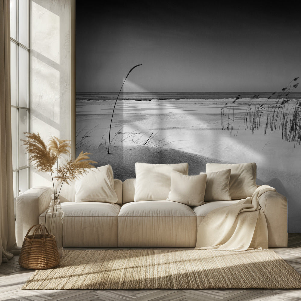 Orkesteri | Valokuvatapetit