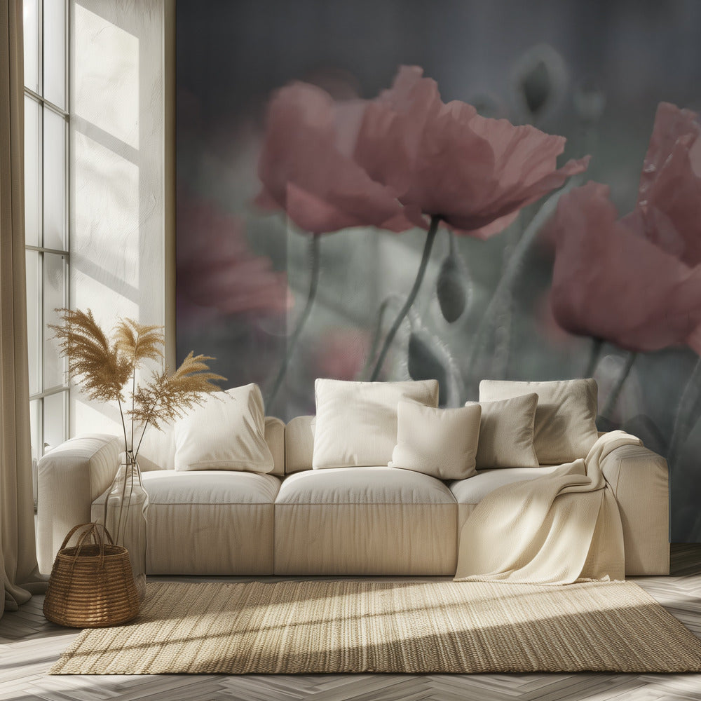 Softly | Wallpaper