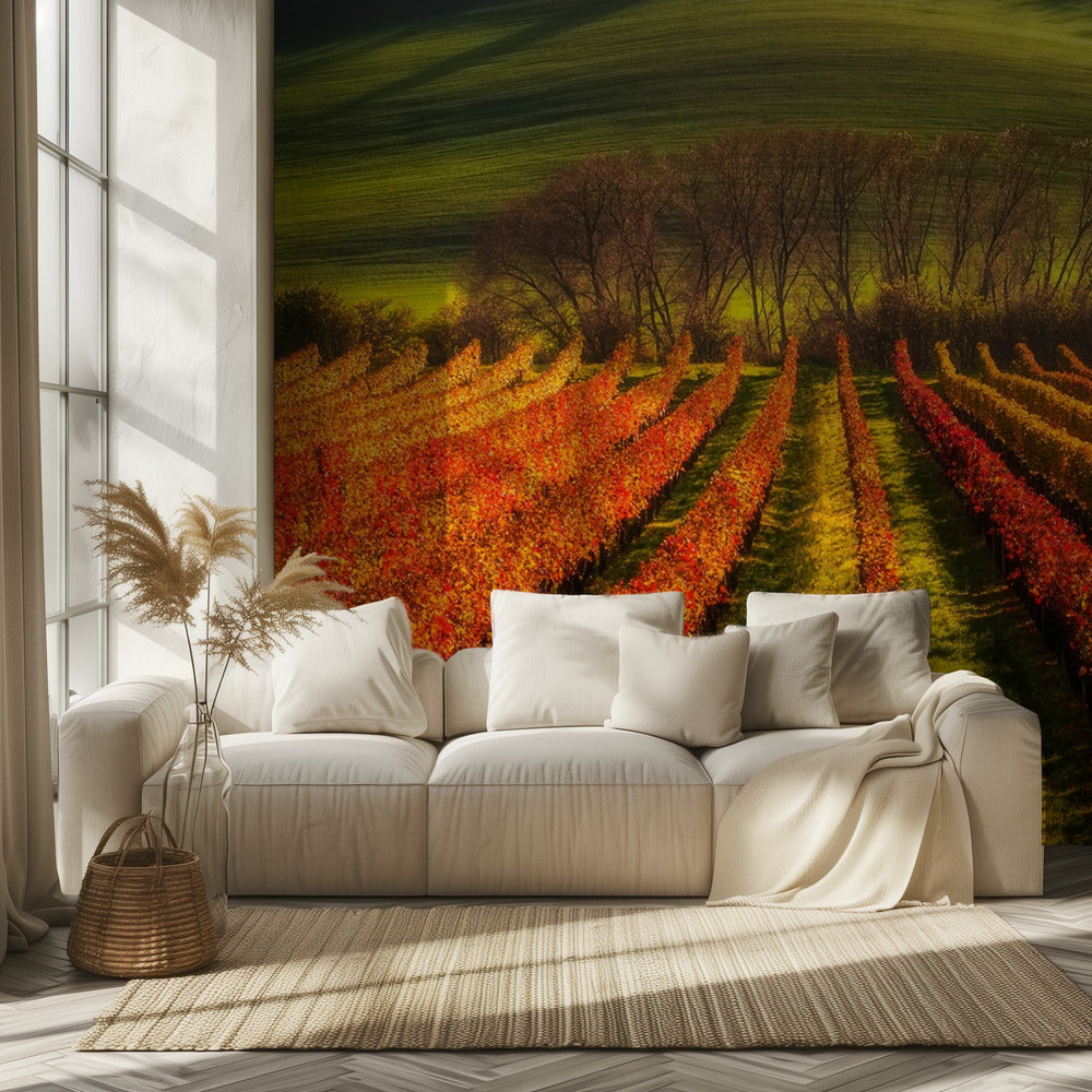 viticulture | Papier Peint Photo