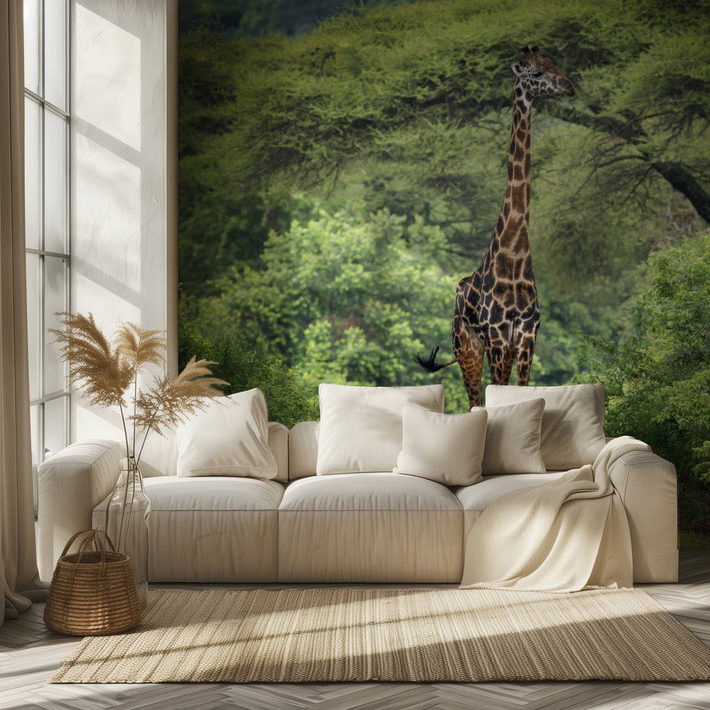 odottamaton tapaaminen | Valokuvatapetit