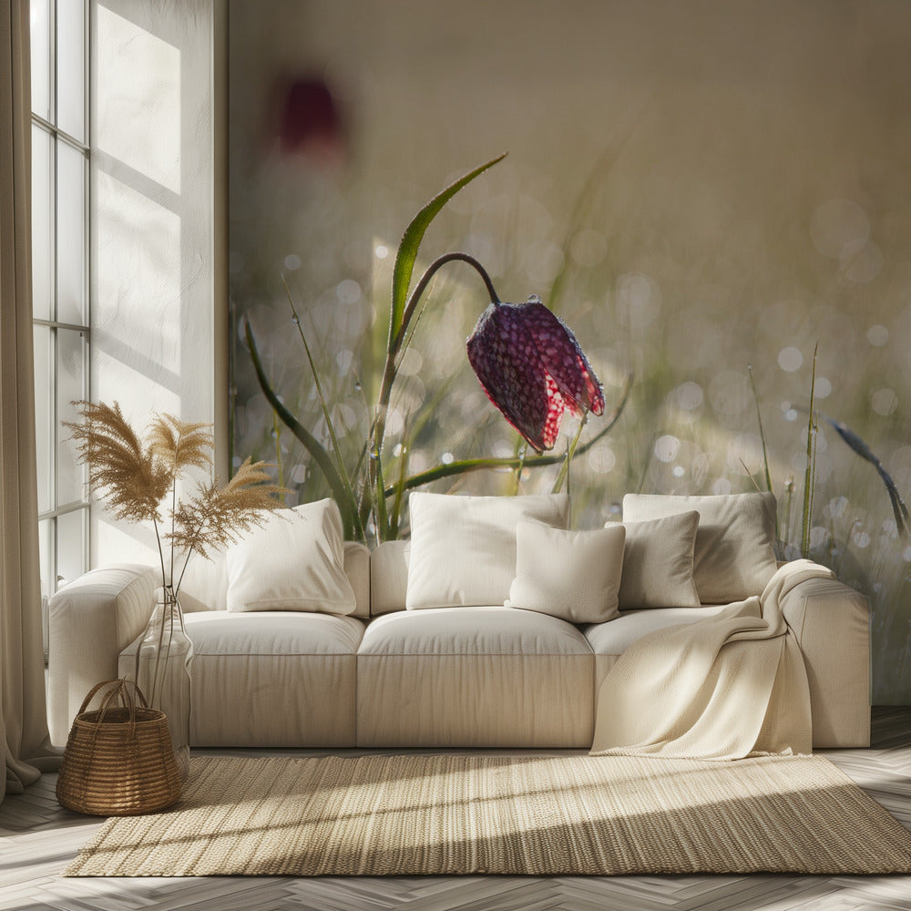 Rocío de la mañana | Papel Pintado Fotográfico