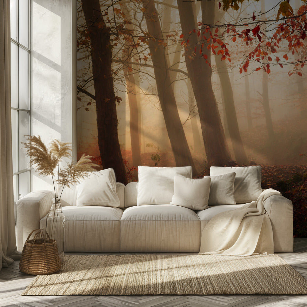 Kohti valoa. Valokuvatapetit