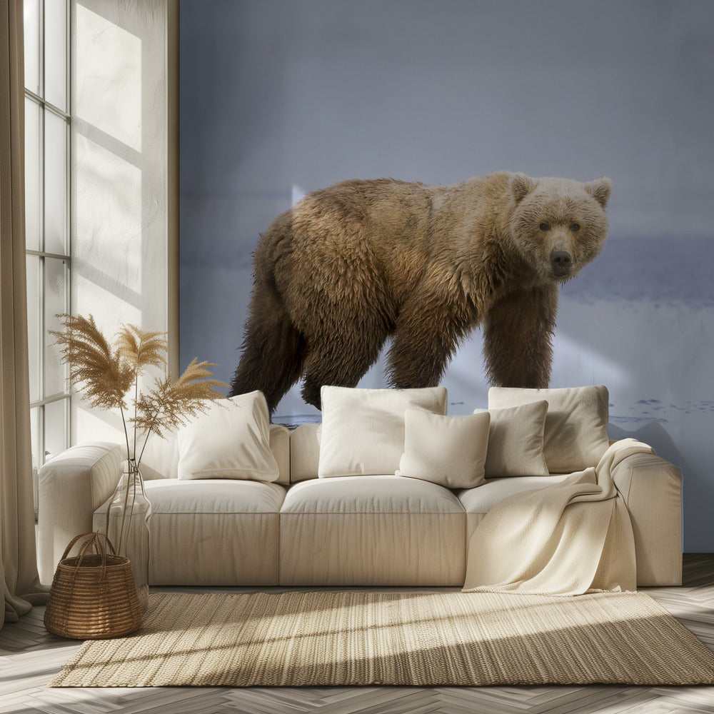 El paseo del oso | Papel Pintado Fotográfico