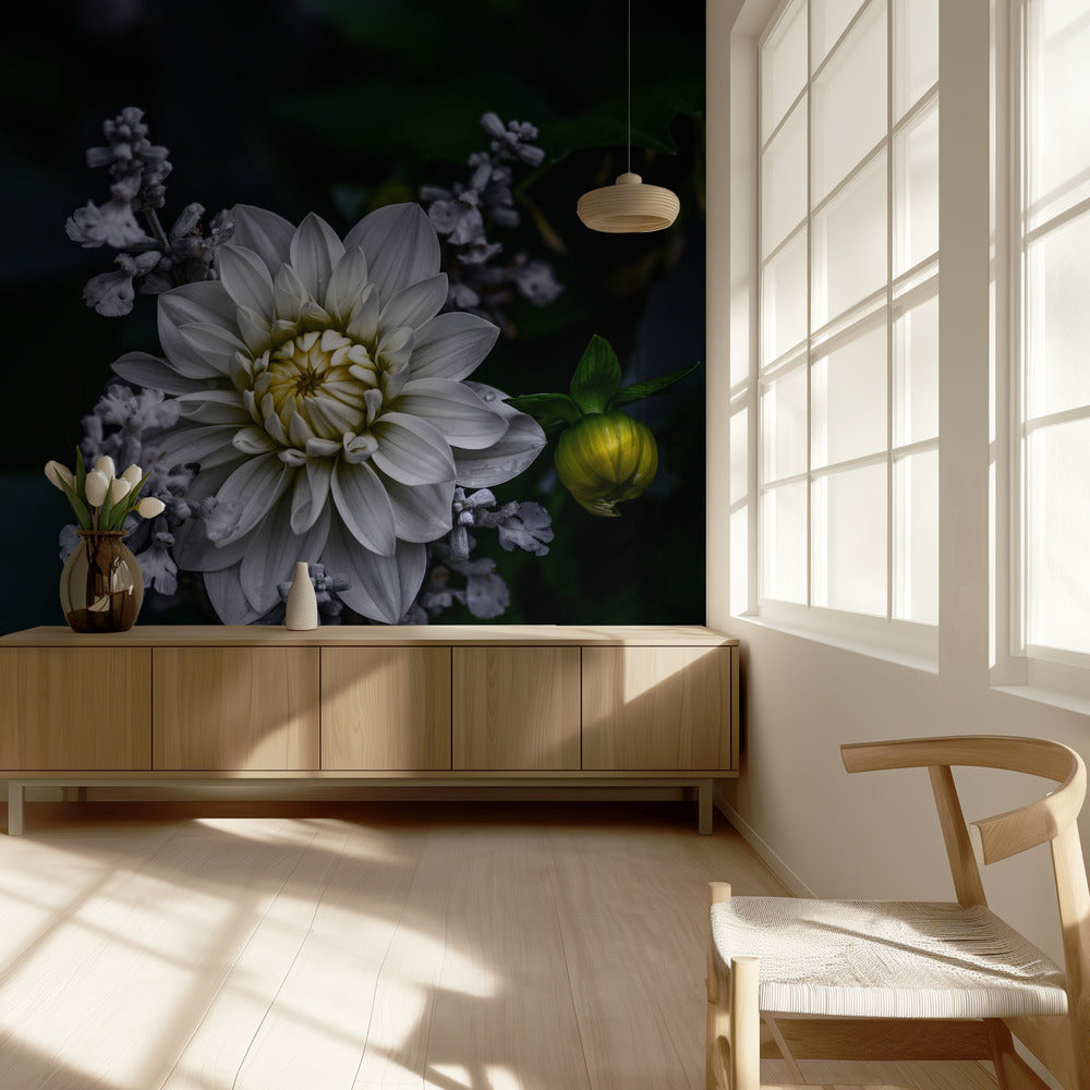 Flor de dalia | Papel Pintado Fotográfico