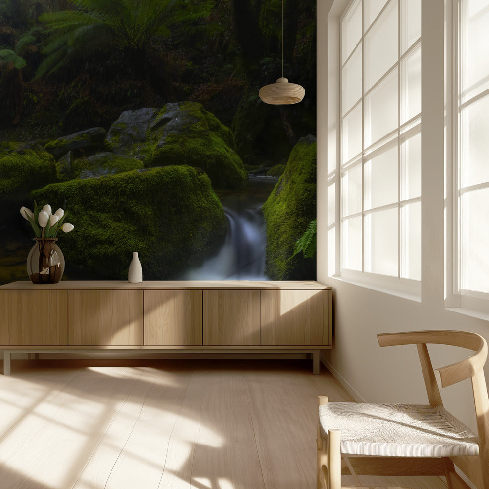 Bonjour Fer à Cheval | Papier Peint Photo