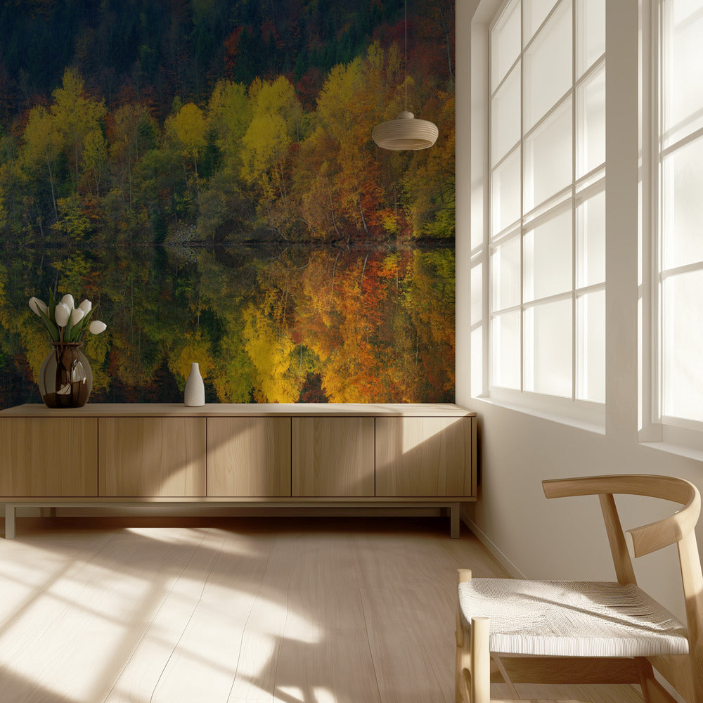 Silenzio autunnale | Carta da Parati Fotografica