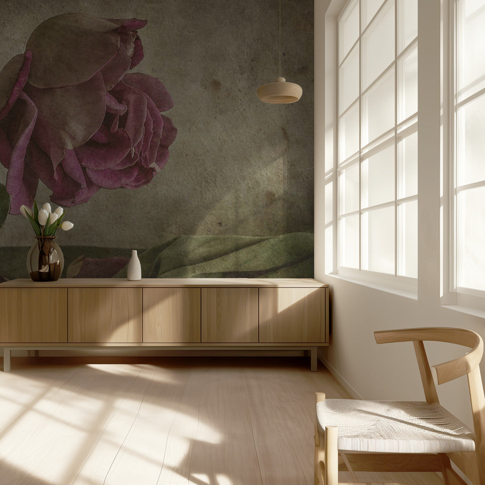 Lágrima de rosa | Papel Pintado Fotográfico