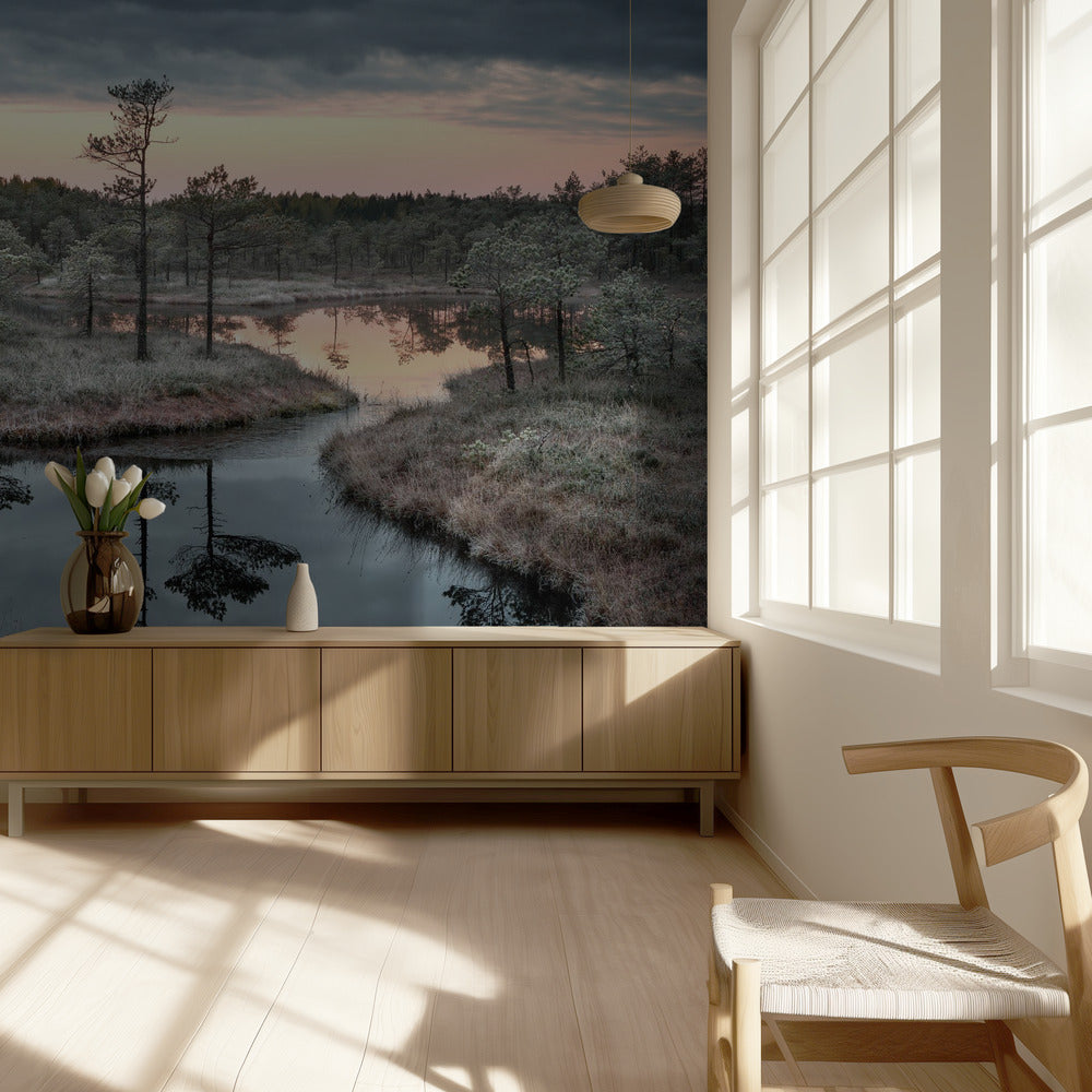 Spildt maling | Fototapeter