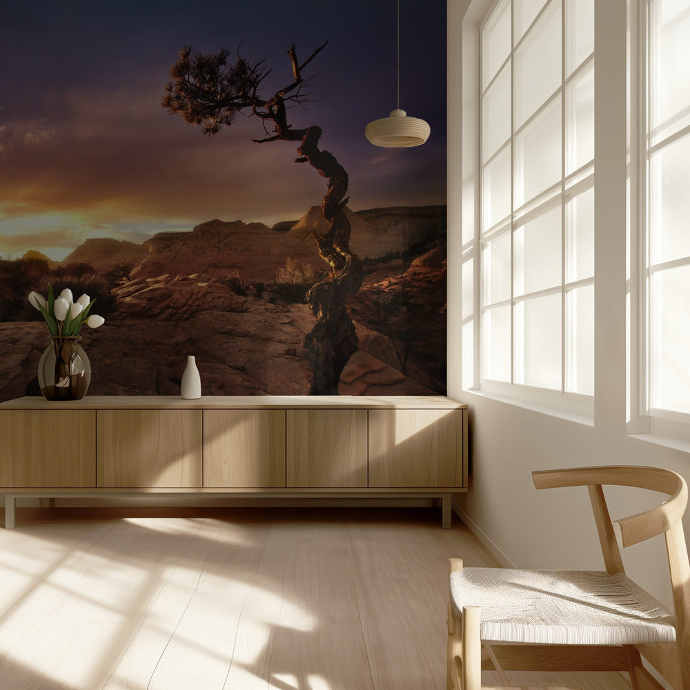 Distorto | Carta da Parati Fotografica