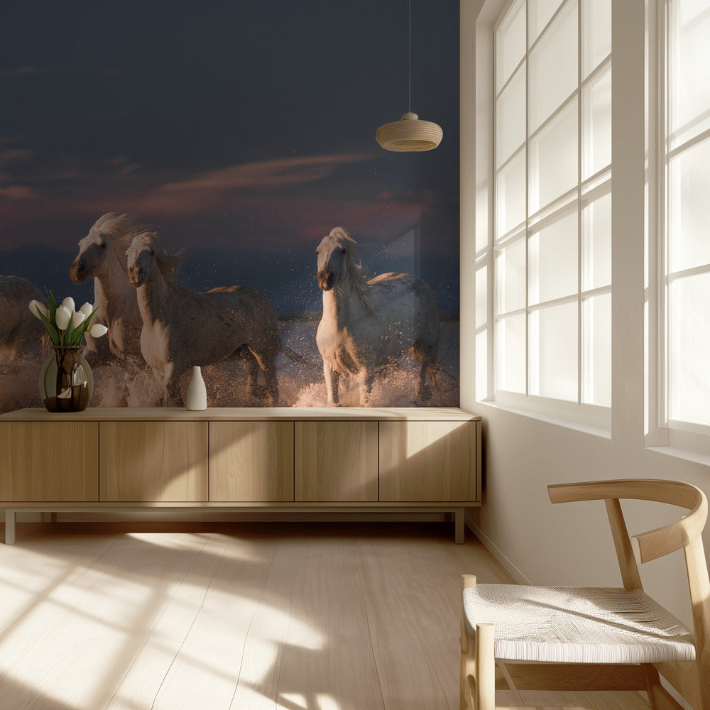 Camarguen enkelit | Valokuvatapetit