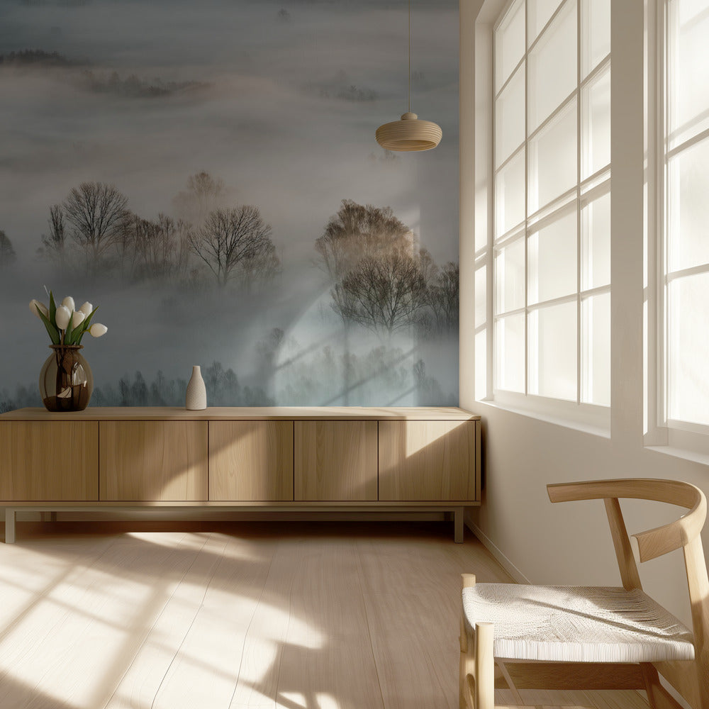 Vintertåge | Fototapeter