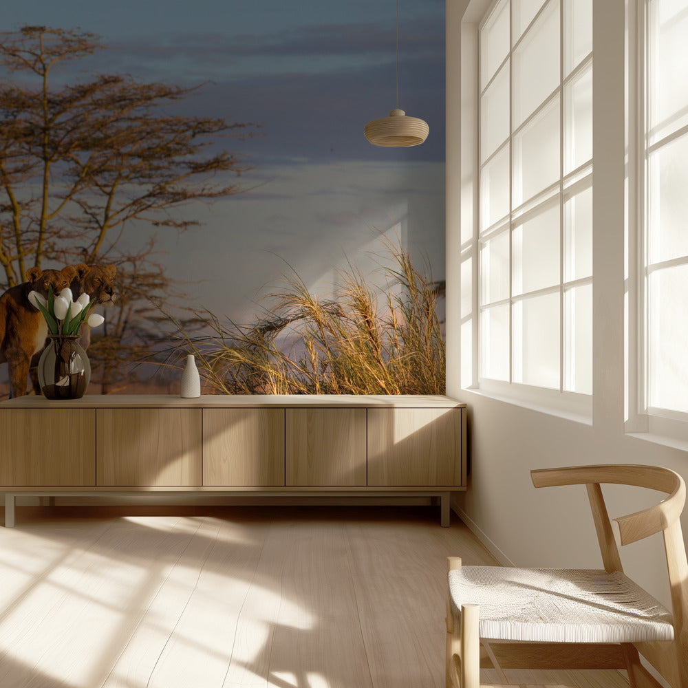 Sisaret | Valokuvatapetit