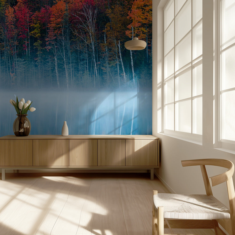 Riflessione mattutina | Carta da Parati Fotografica