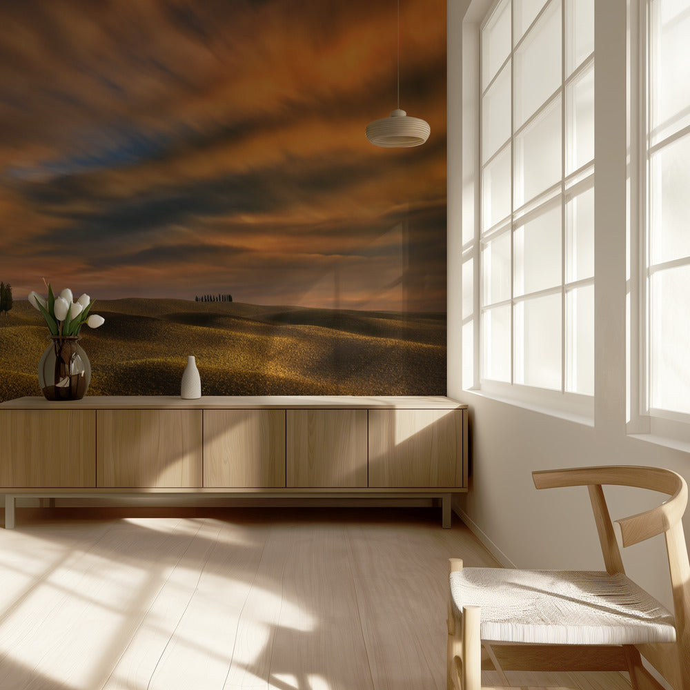 Sypressit... | Valokuvatapetit