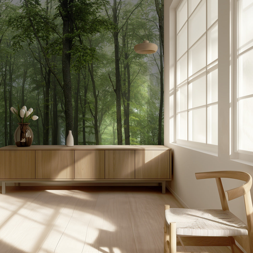 Foresta... | Carta da Parati Fotografica