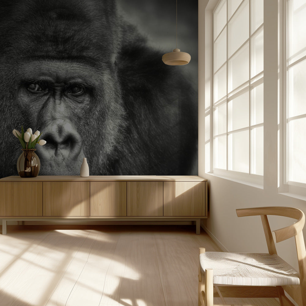 PIENI HYMY .... | Valokuvatapetit