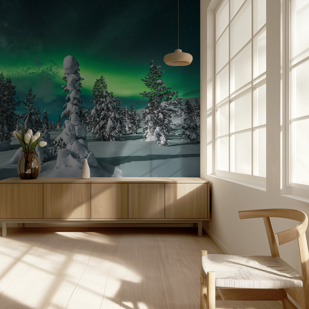 kaamosyö | Valokuvatapetit