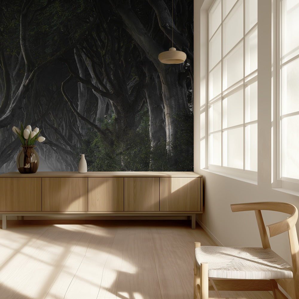 TUMMAT AIDAT | Valokuvatapetit