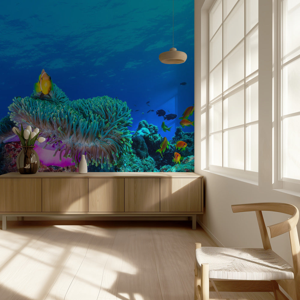 La vie marine | Papier Peint Photo