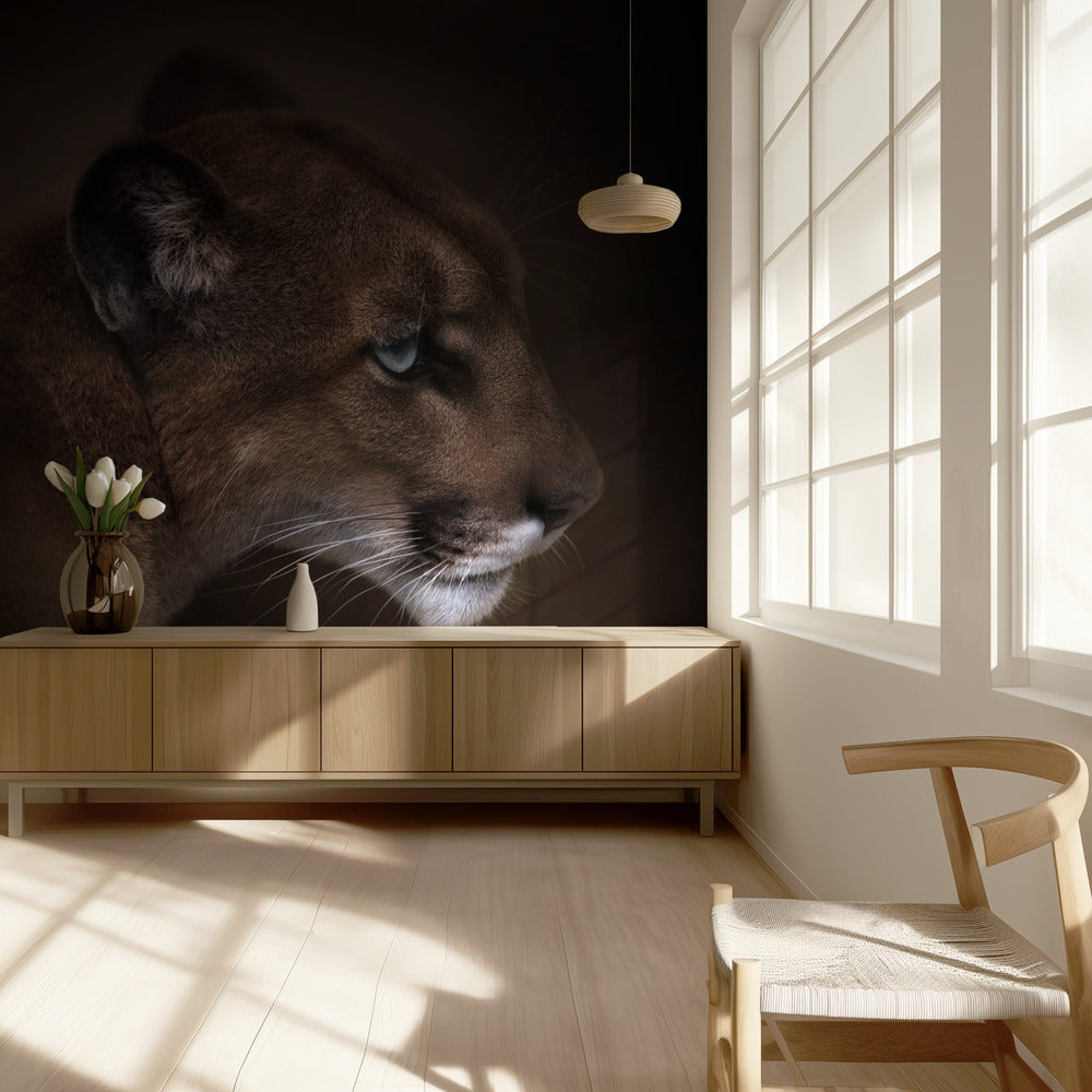 Puuma | Valokuvatapetit