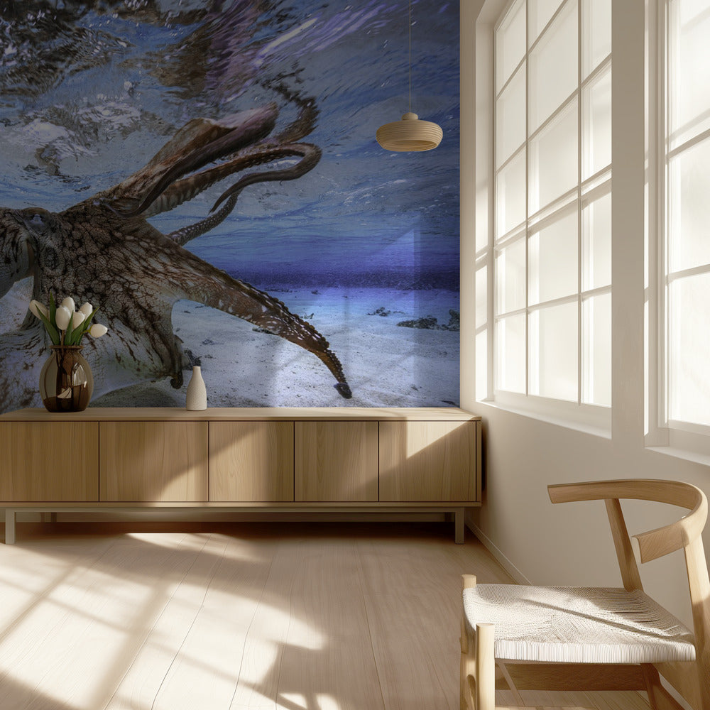 Pulpo bailando | Papel Pintado Fotográfico